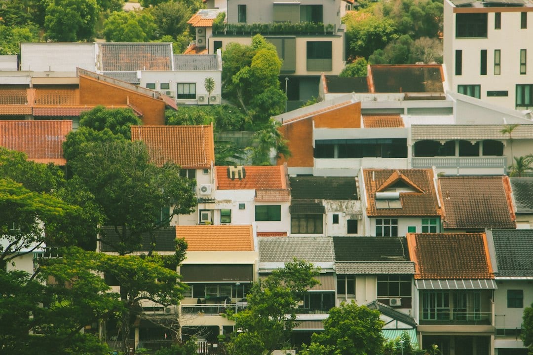 Binchang residential area with a mix of HDB blocks and landed homes