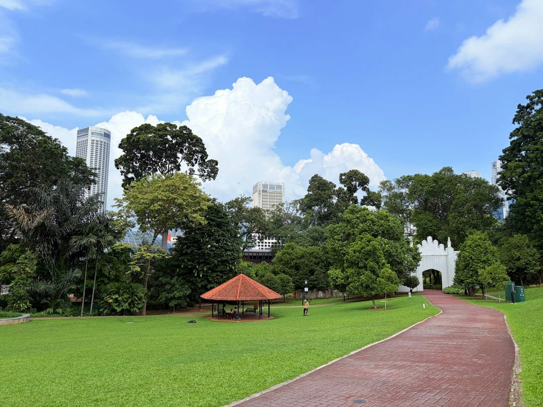 Bishan-Ang Mo Kio Park jogging path with green lawns and city skyline in District 20