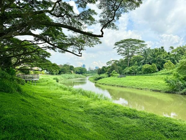 Bishan-Ang Mo Kio Park river and greenery on a clear morning