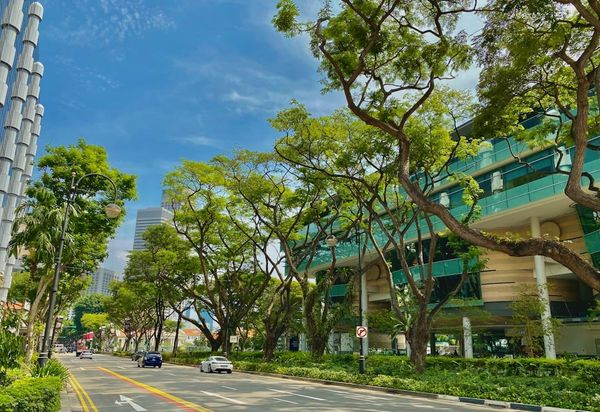Clover by the Park condominium exterior with greenery in Bishan, District 20.