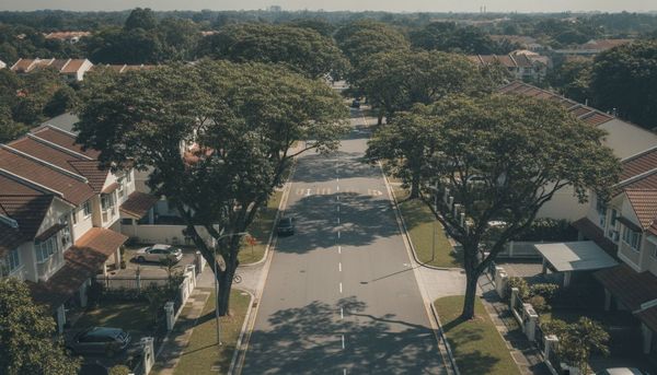 Tree-lined street of landed homes in the Binchang / Bishan area