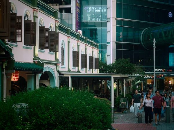 Upper Thomson shophouse cafes on a weekend morning